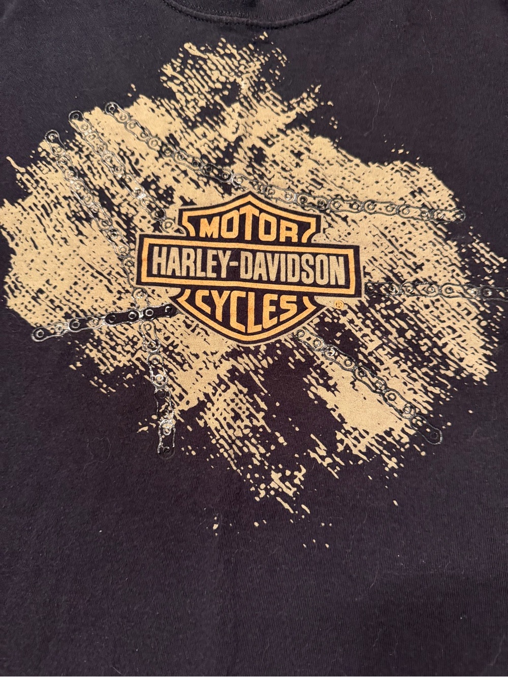 Harley-Davidson Men’s Black Graphic Logo T-Shirt